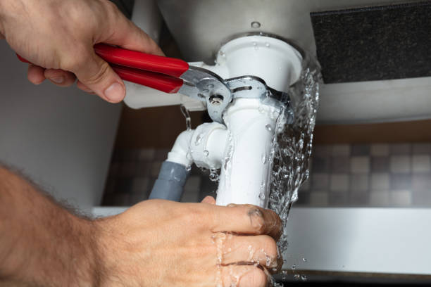 Best Water damage cleanup near me  in Primera, TX
