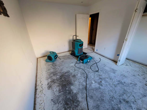 Best Water damage cleanup near me  in Primera, TX