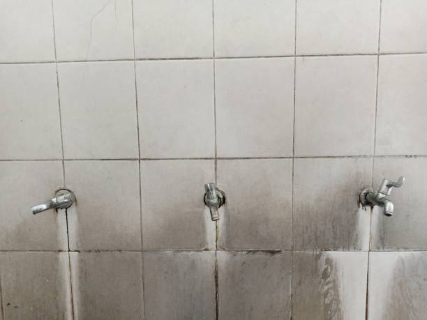 Best Water damage restoration mold remediation  in Primera, TX