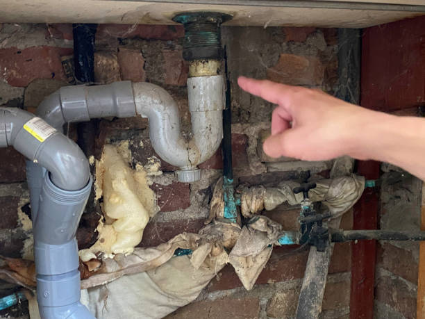 Best Mold removal after water damage  in Primera, TX