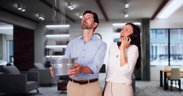 Best Sewage cleanup and water damage restoration  in Primera, TX