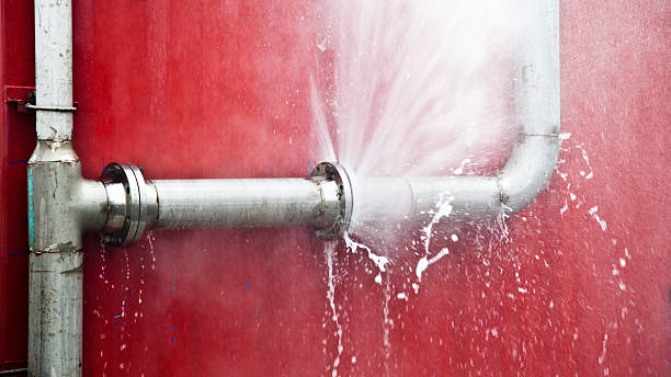 Best Flooded house restoration  in Primera, TX